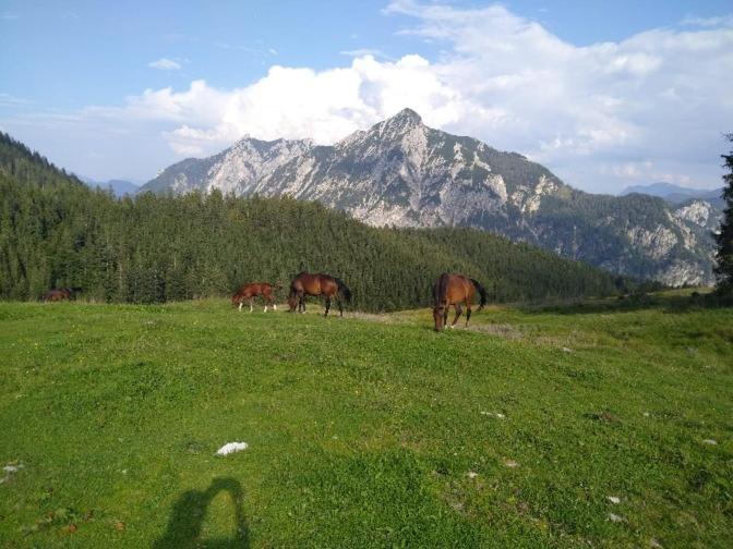 Mountainlove Strobl Eksteriør bilde